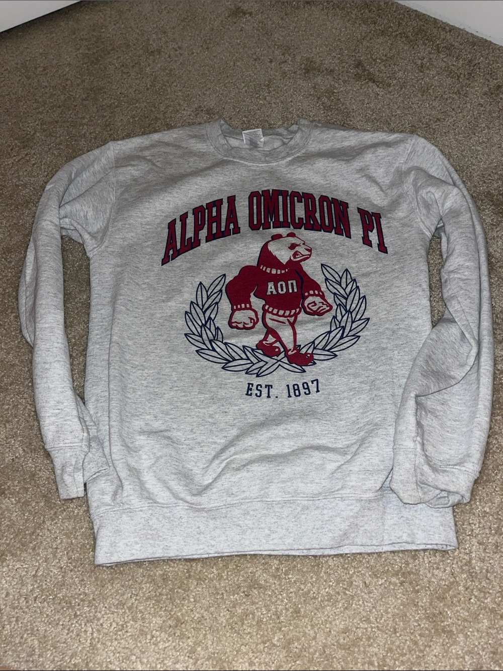 Alpha Omicron Pi crewneck